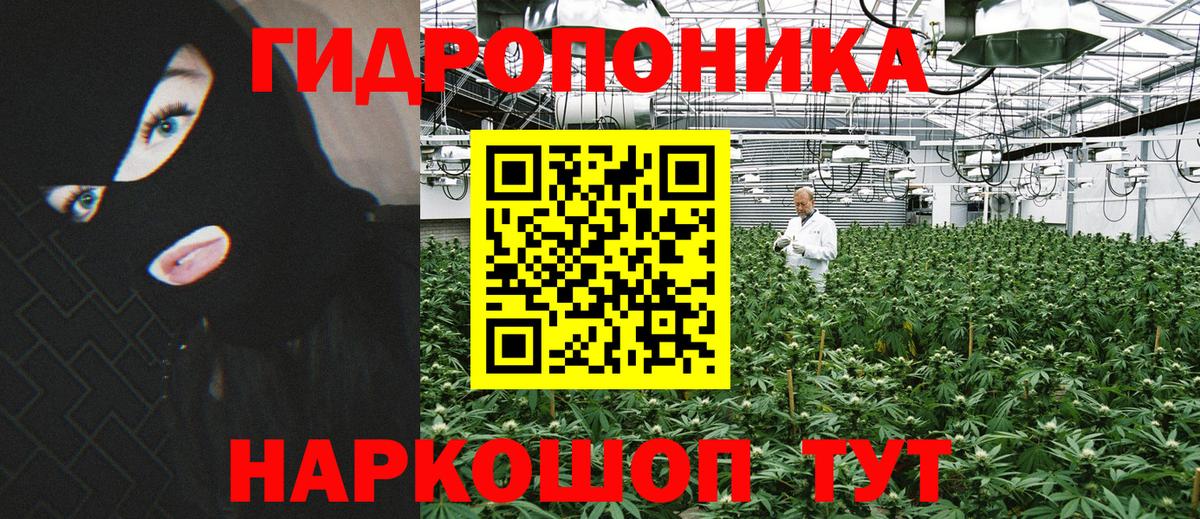 Конопля LSD WEED  Шишки марихуана AK-47  Тара  Вход с VPN 